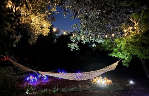 La dimora di Afrodite - Foto 14