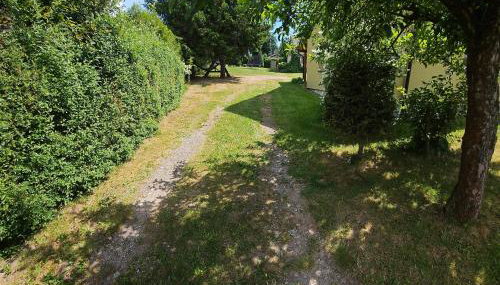 Oliwkowe Jerzykowo -klimatyzacja - Foto 3, Garden view