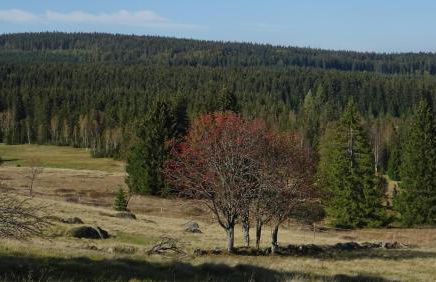 Apartment Almberg - Foto 63