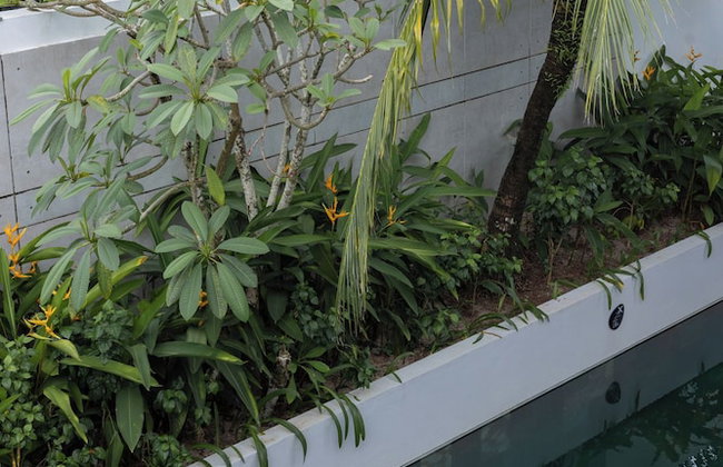 Sailing Pool Villas & Resort Phu Quoc - Photo 79