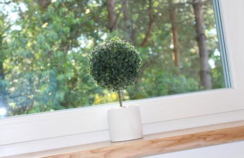 Mazurska Niwa - Foto 47