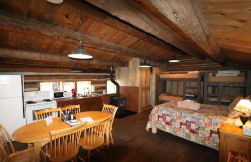 The Cabins at Historic Columbine - Foto 8