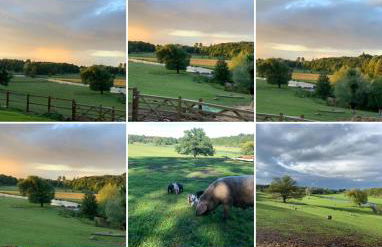 Farm woodland riverview cabin bbq firepit pet friendly - Foto 43