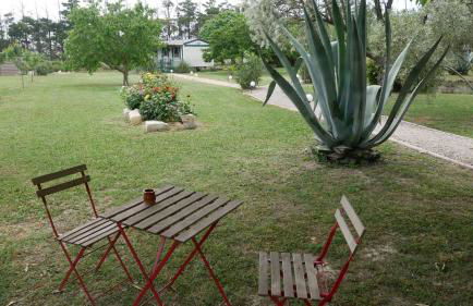 MAS MAURANE-Le Platane avec SPA privé aux portes d'ARLES - Foto 67