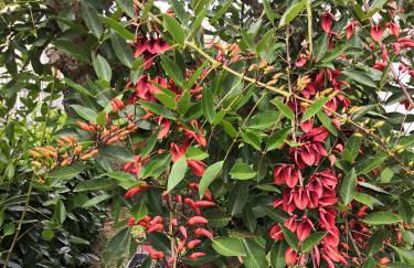 Appartamenti Villa Ancora - Foto 11