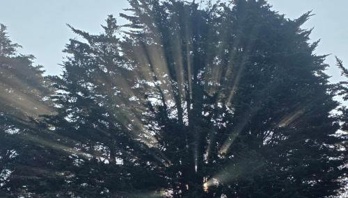 Lighthouse Lodge - Dog Friendly Nr Sutton on Sea - Foto 3