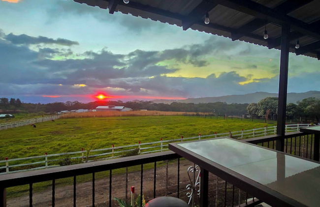 Almore Hotel - Foto 64