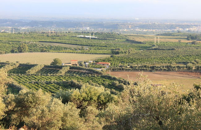 Agriturismo Le Terre Zoè - Foto 24