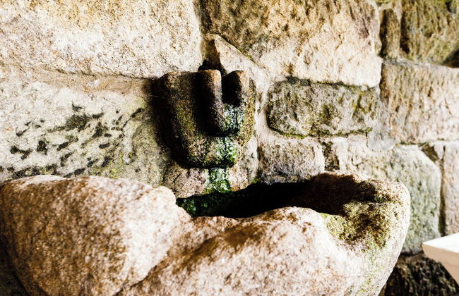 Rectoral de Fofe - Photo 49