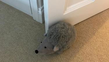 Hartington House - Foto 5