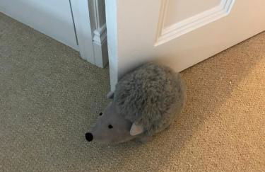 Hartington House - Foto 5