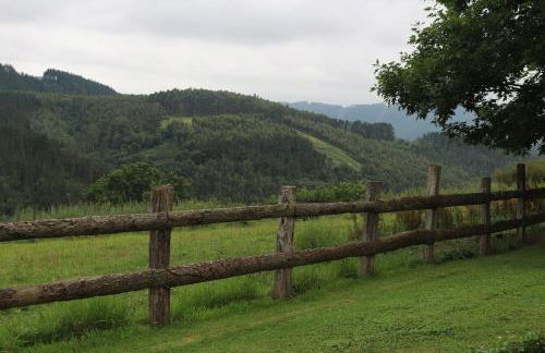 Lekunberri Baserria - Foto 8