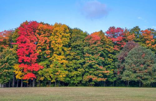 5 Mi to Schuss Mtn Family Getaway with Game Room - Foto 45