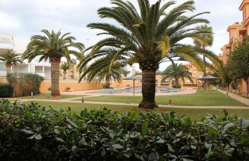 187 Palm Beach - Deniasol - Foto 3