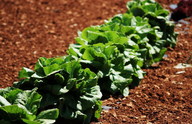 Casal Santa Eulàlia Hotel - Photo 59