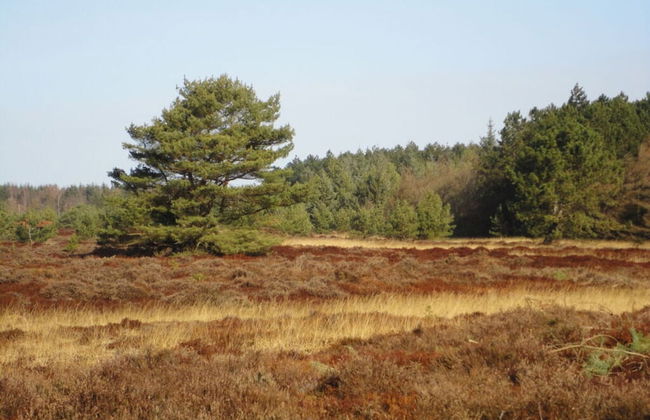 Time out Zu2! Modern Retreat - Foto 11