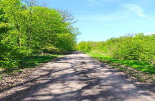 Holiday Home in Wolfsberg by River - Foto 57