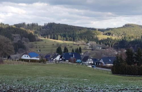 Holzhaus Chalet Nationalpark Eifel Hund willkommen - Foto 32
