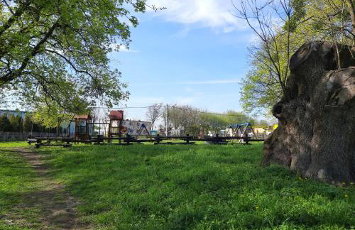 Kawalerka za Świeciem - Foto 22