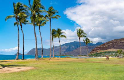 #ML - Aloha Hoʻonani 3BR Home - MT & Ocean Views! - Foto 65