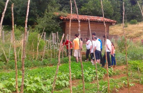 Agroturismo Mari Cruz - Foto 58