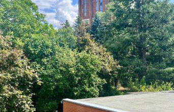 Ferienwohnung Klein & Fein - Foto 24