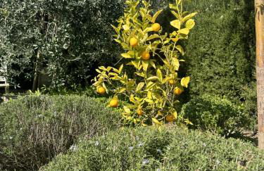 Sea View Villa in the French Riviera - Foto 35