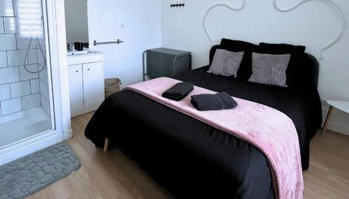 Combo centre-ville - 8 pers - 3 chambres avec salle de bain - Foto 4