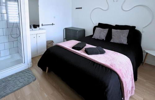 Combo centre-ville - 8 pers - 3 chambres avec salle de bain - Foto 4