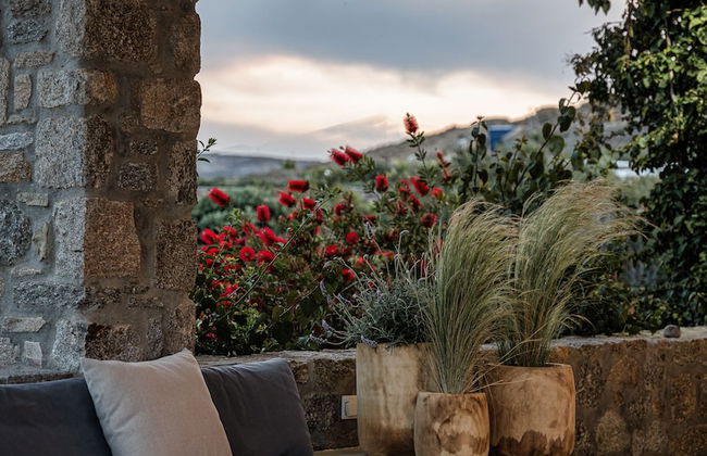 El Sueno Villa Mykonos - Foto 31