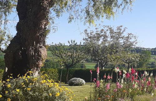 Silos Torrenova - Foto 80