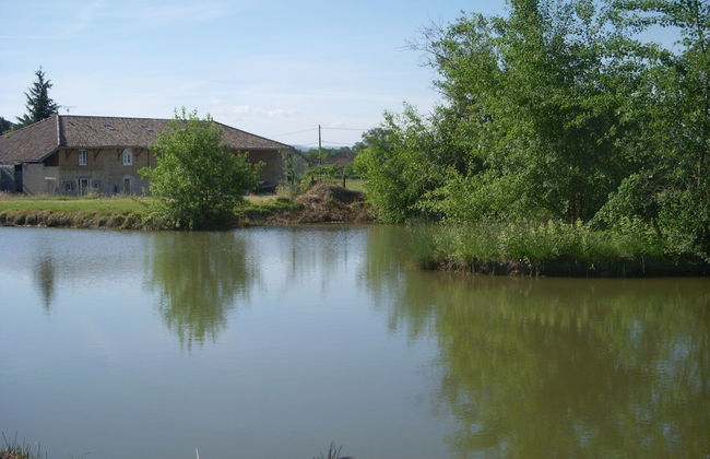 Gîtes Domaine de la Rochère - Foto 45