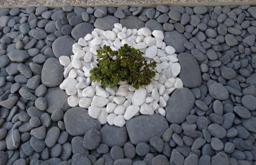 Falésias da Arrifana - Foto 14