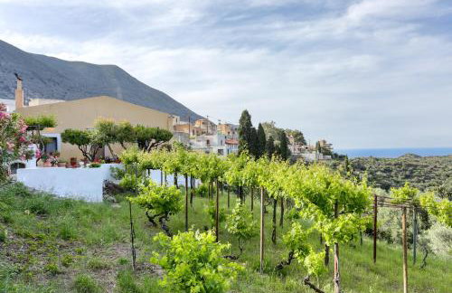 The Cretan Manor - Foto 25