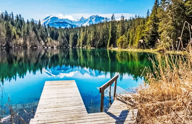 Crap Grisch - Foto 34