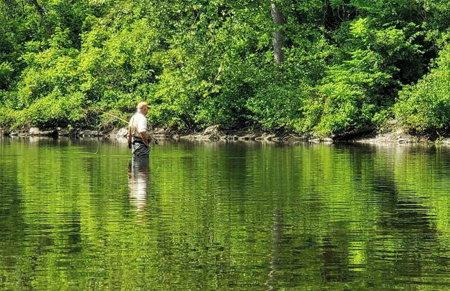 Catskill Retreat - Foto 37