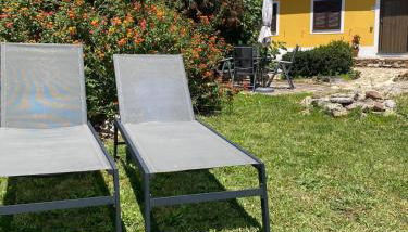 Quinta Cunte - Casa Girassol - Foto 4, Garden