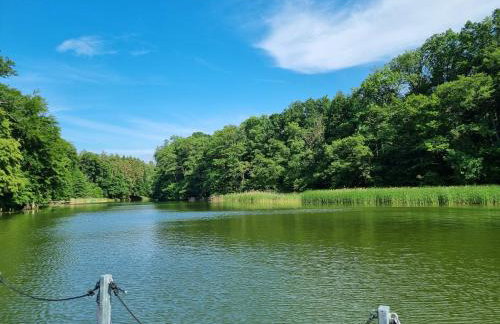 Floss Priepert 1 - Photo 24