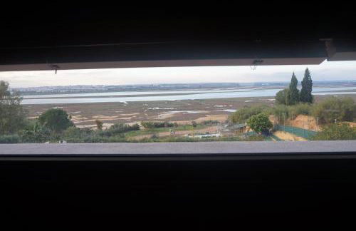 Finca Mis Morenas - Foto 15