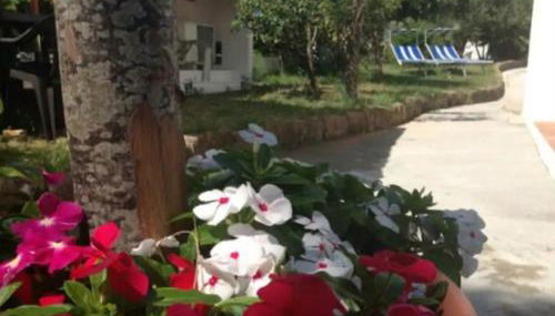 Splendido villino con vista spettacolare - Foto 2