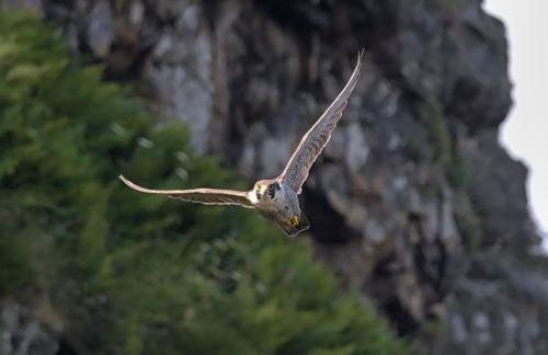 The Workshop- Eco Cottage by the Coastal Path - Photo 44