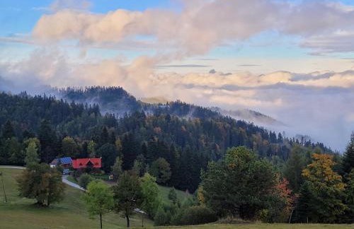 Domek na Obidzy - Foto 1