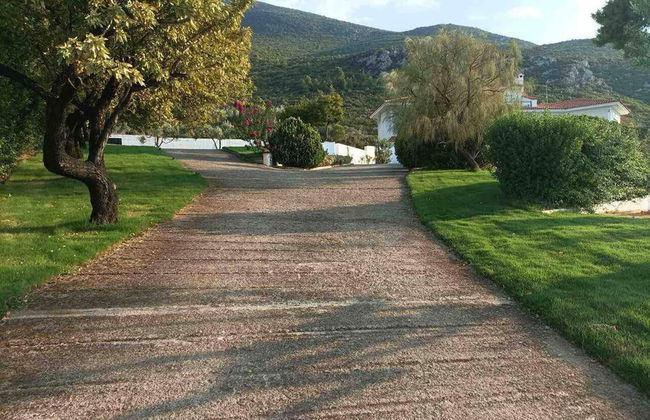 Villa Sophia in Drosia, Chalkis - Foto 14