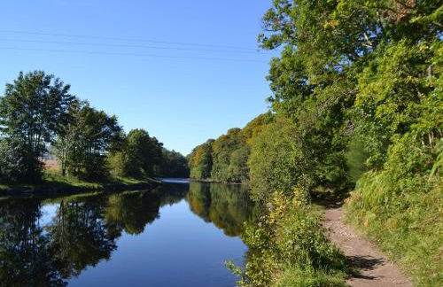 Tree Tops - Photo 14