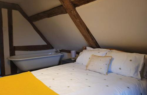 The Gingernut - Photo 13