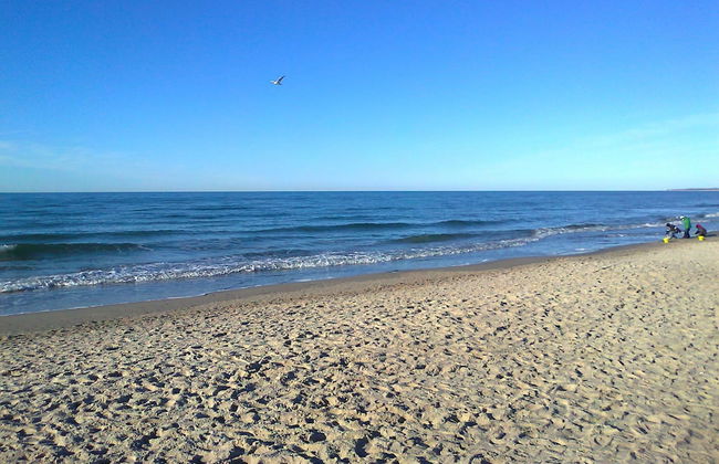 Bungalow in Alt Bukow Near the Beach - Photo 26