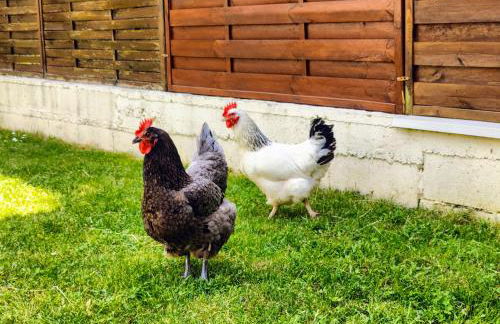 Maison 190m2 - Entre Paris et Disneyland - Foto 20