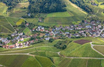 Ferienwohnung Epting - Foto 28