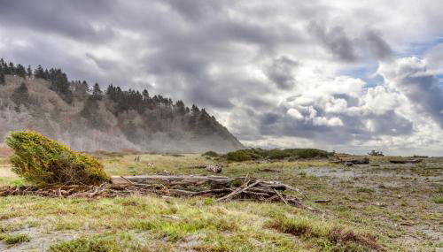 Estate @ Vista - Foto 3