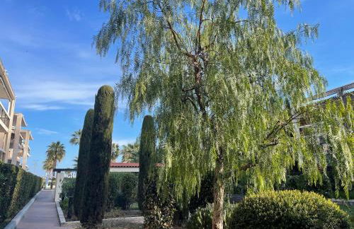 VILLENEUVE LOUBET PLAGE- Entre NICE et CANNES - Foto 28